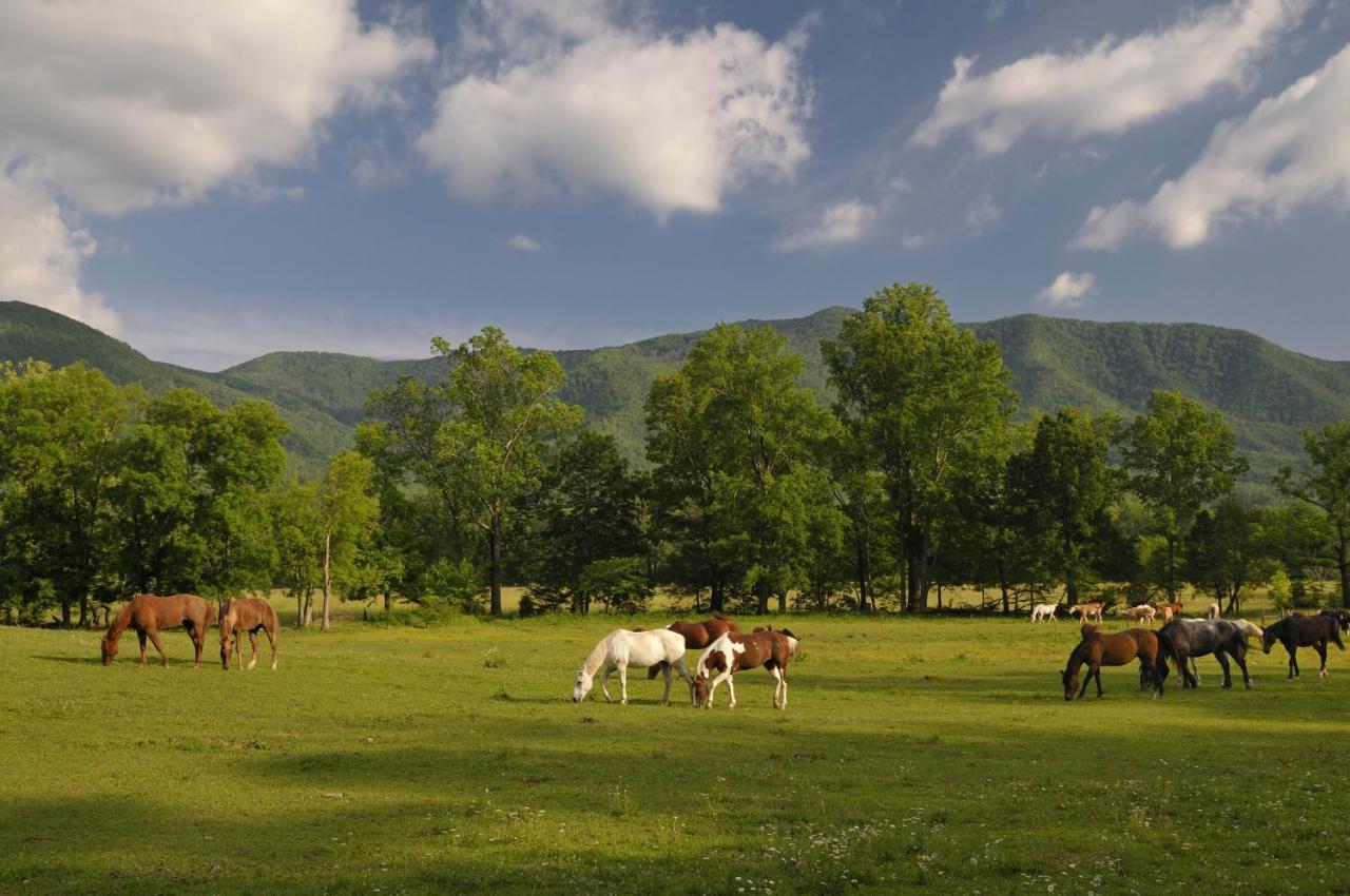 Lasting Impressions Gatlinburg Dış mekan fotoğraf